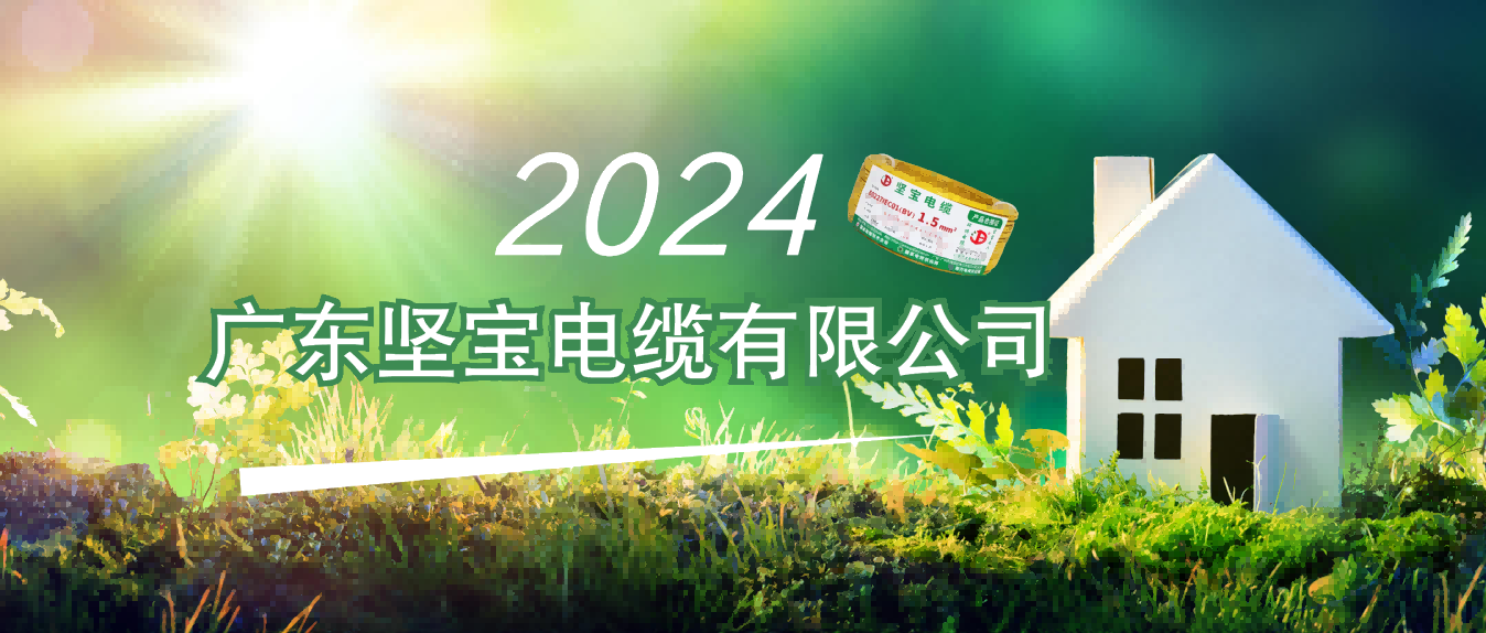 國家級電力應急基地應急能力建設觀摩交流會